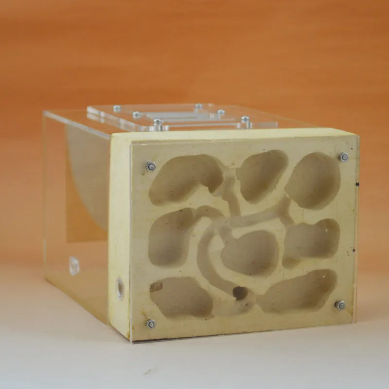Plaster Ant Nest Acrylic Ant Farm Ants Queen House Insect Cage Anthills font b Pet b