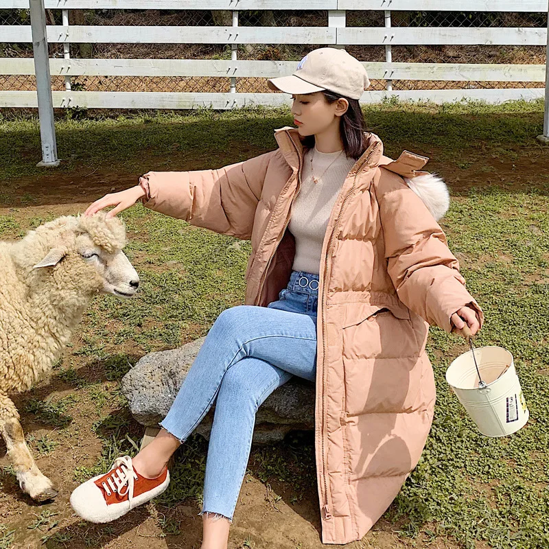

Photo Shoot 2019 New Style Best Friend Korean-style Hooded Large Fur Collar INS down Jacket Medium-length Cotton Coat WOMEN'S Co