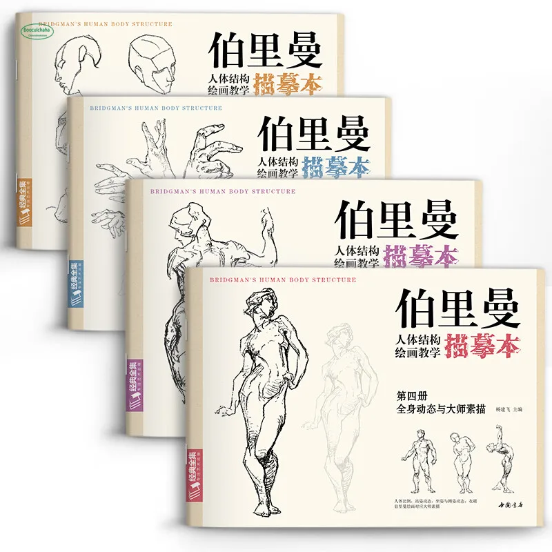Учебник по рисованию строения эскиза персонажа учебник обучение строению фигуры
