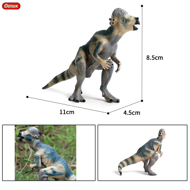 Oenux, новинка, доистория Юрского периода, Пахицефалозавр, ПВХ, динозавр, мир животных, модель, фигурки, коллекция игрушек для детей