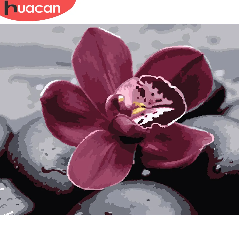 HUACAN краска по номеру цветы рисование на холсте подарок DIY фотографии номерам