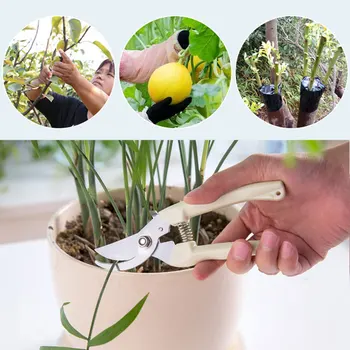

2019 Pruning Shears Stainless Steel Yardman Handmade Garden Scissors Sturdy Tool Gardening Scissors for Tree Drop Shipping