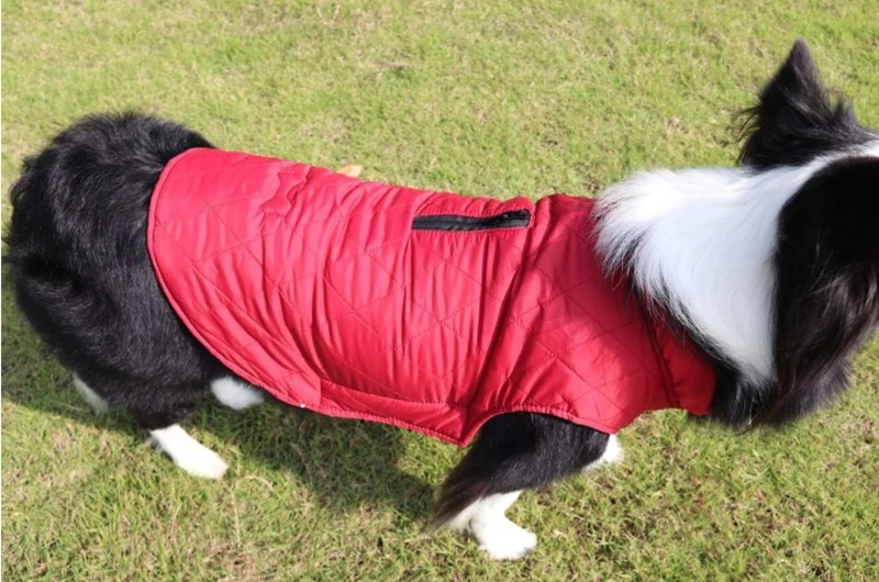Dog winter clothes, large and medium sized dog coats, Golden Retriever small dog vest, pet supplies