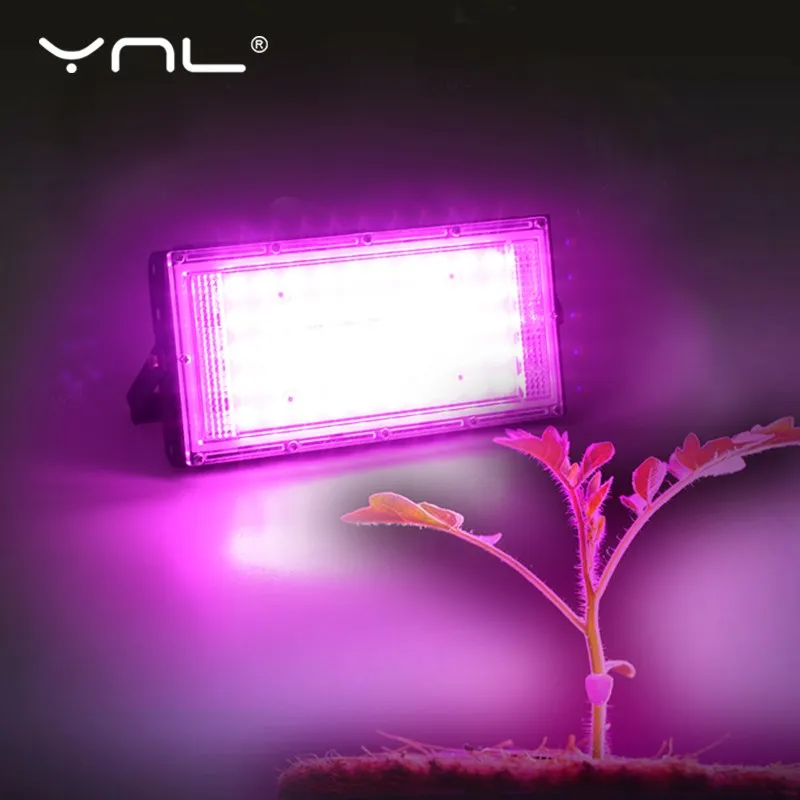 Grow Light IP65 Full Spectrum 50W AC 220V Phyto Lamp For Plants Tent Flower Seeding Lamp Indoor Outdoor Led Floodlight