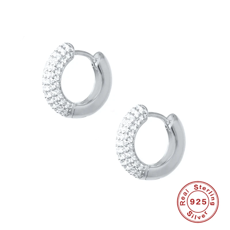CANNER 2021 Trend Earrings For Women Earrings Silver 925 Crystal Clear Hoop Earrings Pendientes Jewelry Bijoux Femme Серьги - Image 2