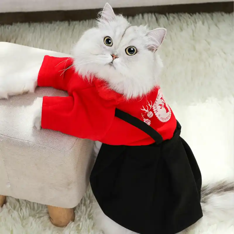 Cute cat dress Clearance