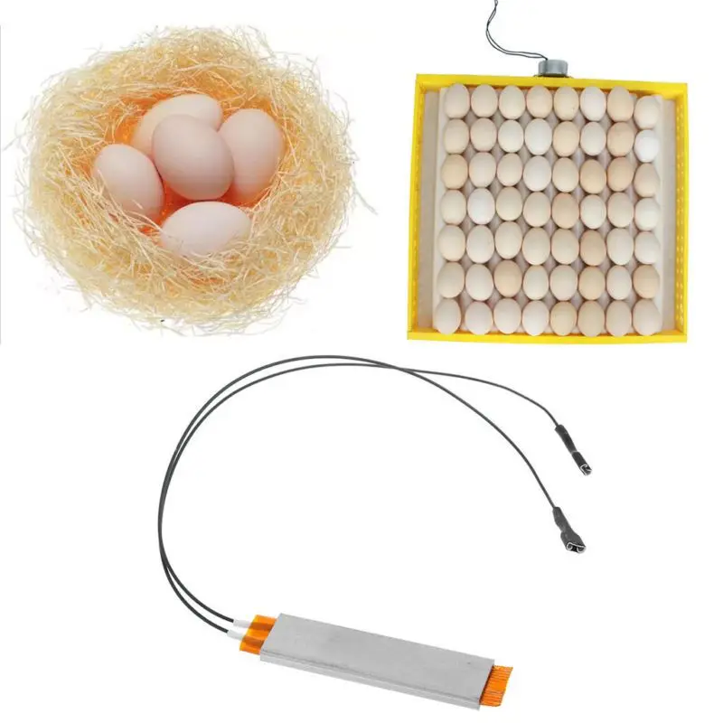 

New Heating Incubator Heater Element Plate For Egg Incubator Spare Part Household Incubator Accessories 220V/110V/12V