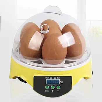 

In stock 7 eggs incubator bird egg incubator semi-automatic miniature egg incubator pigeon household incubators For Drop Shipper