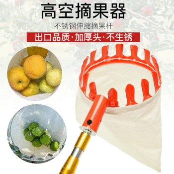 

Picking Useful Product Peach Plum Waxberry Fruit Fruit-Picking