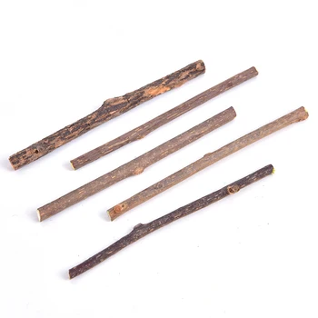 

5PCS/lot Pet Cleaning Teeth Natural Catnip Pet Cat Molar Toothpaste Stick Actinidia Fruit Silvervine Cat Snacks Sticks