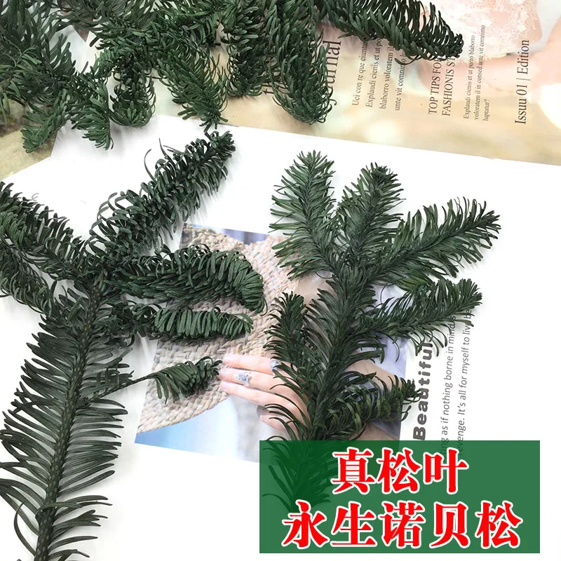 Valentine's Day Eternal Flower Nobe Pine Tree Branch Cypress Leaf Green Handmade DIY Christmas | Дом и сад