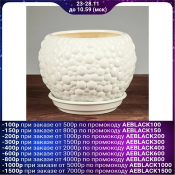 

Flowerpot "Bubbles" filling color, 1.4 l