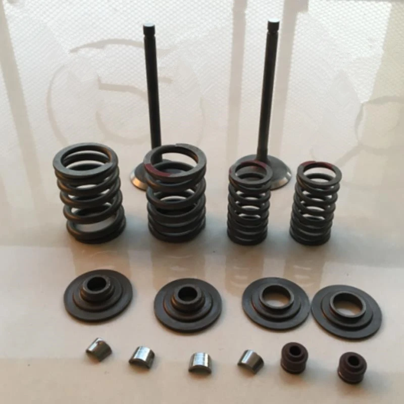 Sepeda Motor Suku Cadang Mesin Batang Katup Segel Minyak Musim Semi sepeda-motor-suku-cadang-mesin-batang-katup-segel-minyak-musim-semi