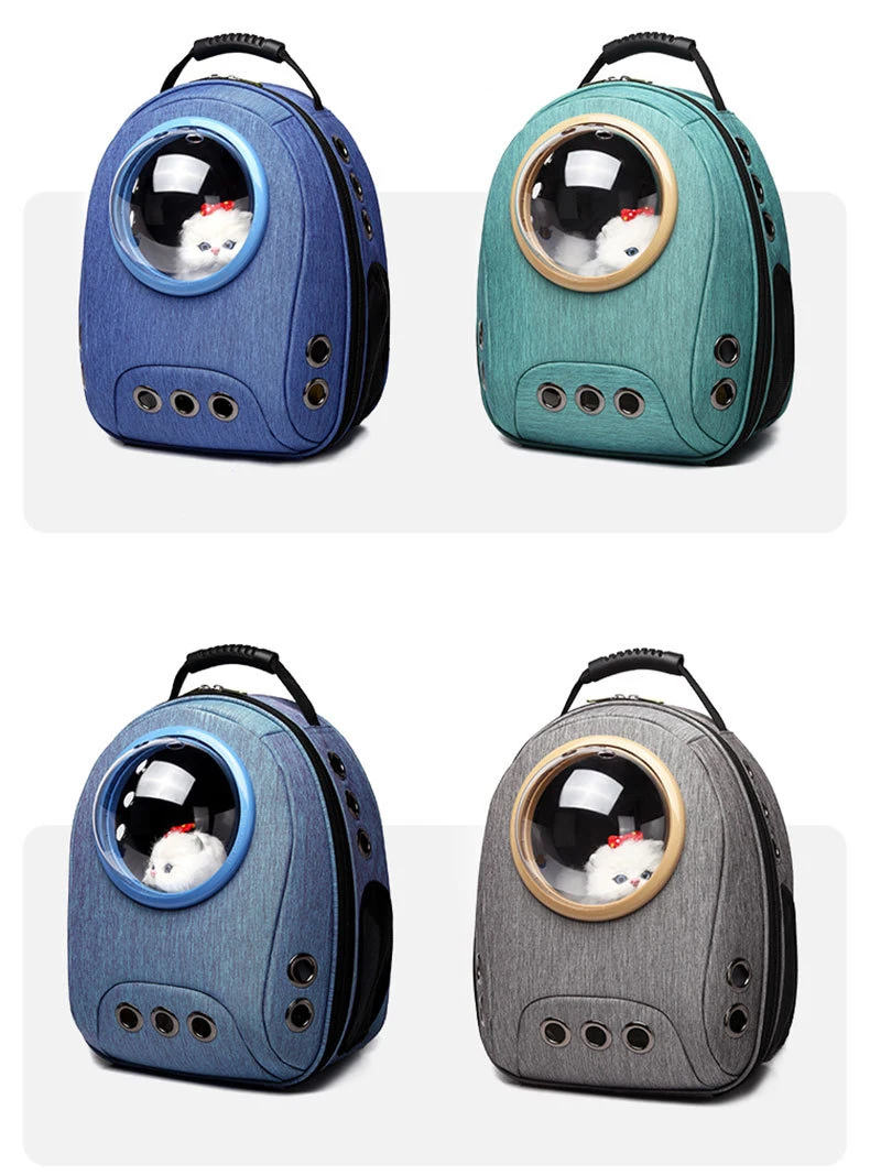 10794754878_1744351355