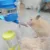 Хомячья Бутылка Воды Клетка Питомник Висит Питьевой Диспенсер Для Кролика Морская Свинка Герметичный Автоматический Питательный Прибор 60/125/250 МЛ
