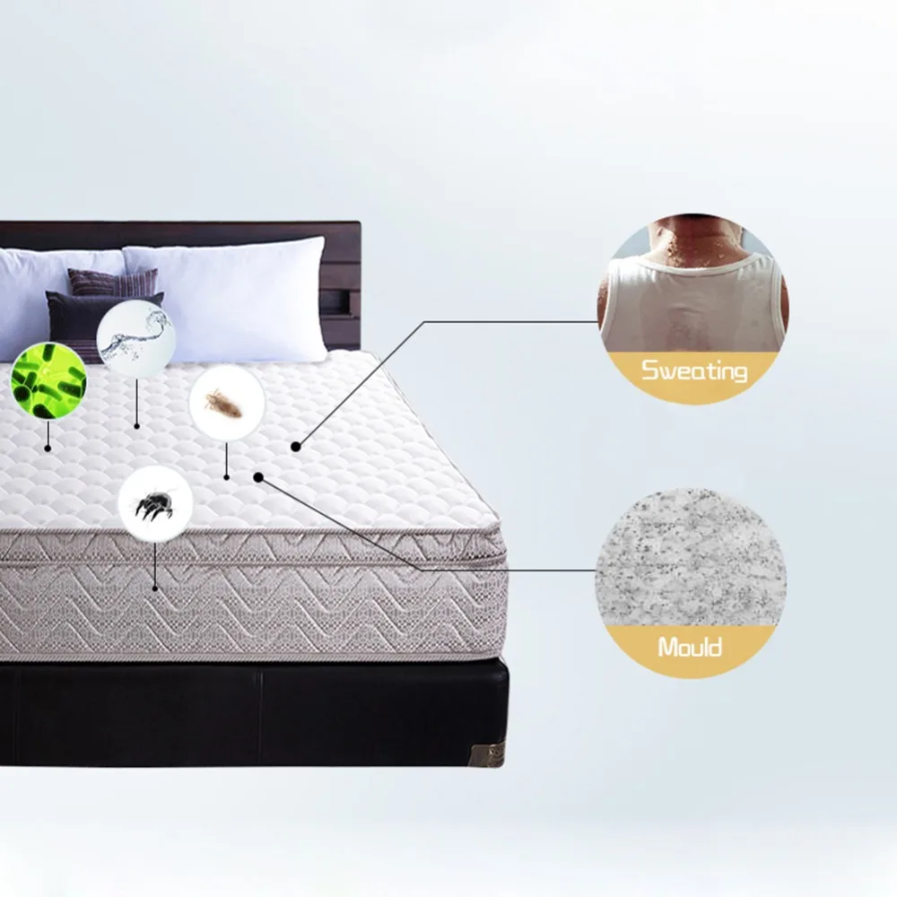 299772_no-logo_299772-3-07