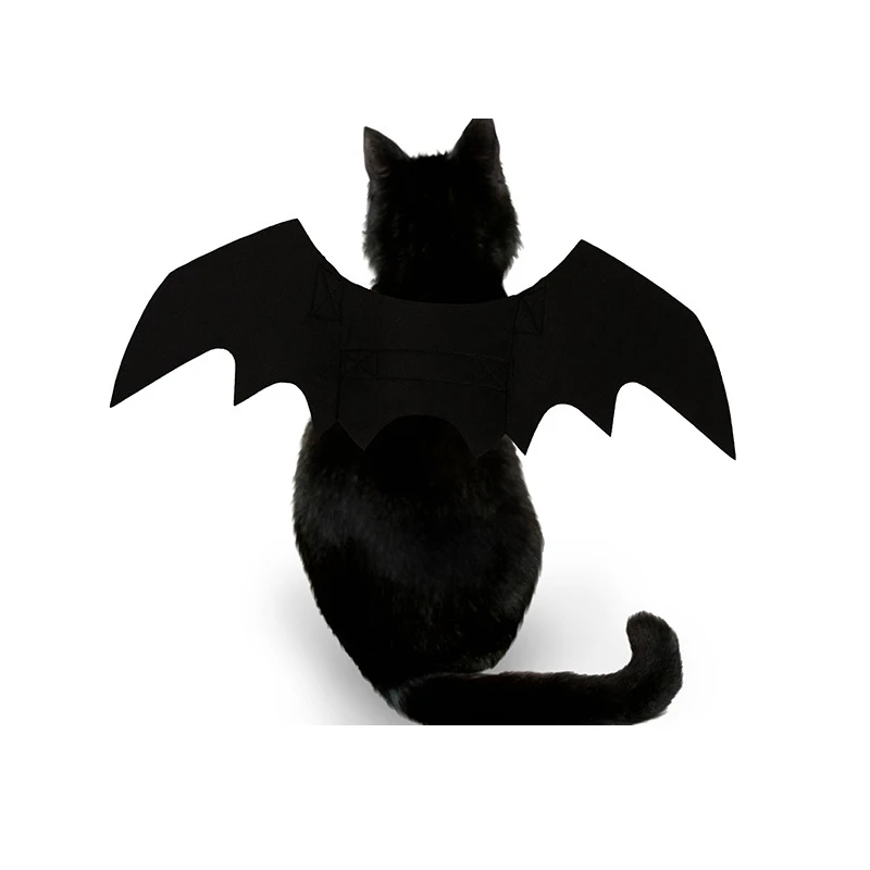 8945399567_860115678