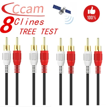 

European stable server Cccam 8 lines, suitable for DVB-S2 Gtmedia satellite receiver series