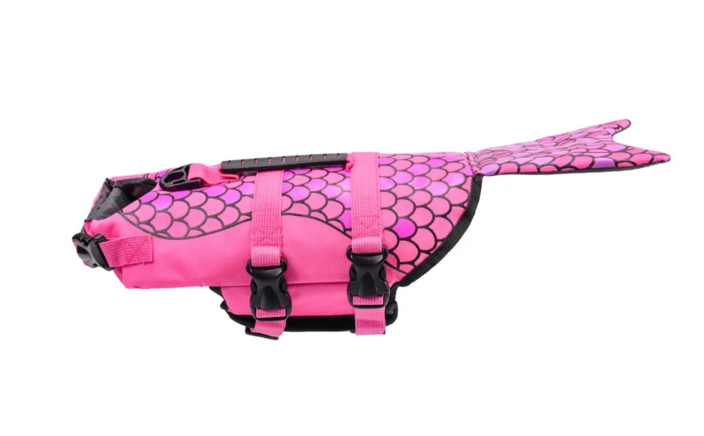 10447296243_275200897