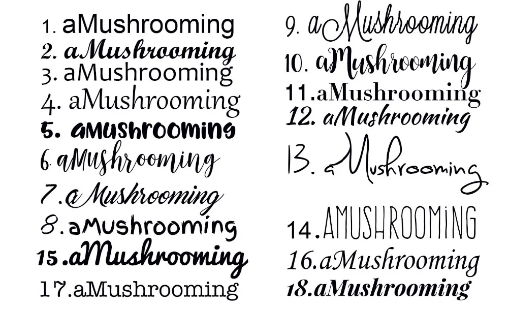 font18