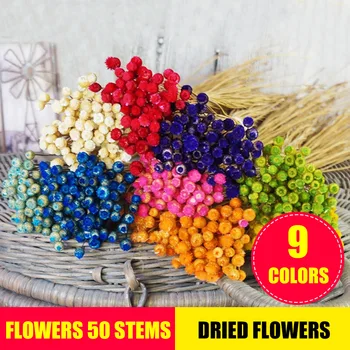 

Flowers 50 Stems Dried Flowers for Arrangements Bundle Home Decor Photo Props Handmade Air-drying XHC88
