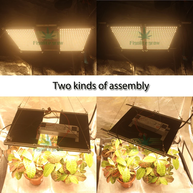 

Widely use Dimmable Meanwell driver HLG 240w Quantum Board led grow light QB288 LM301B mix 660nm Cree UV IR for medical plant