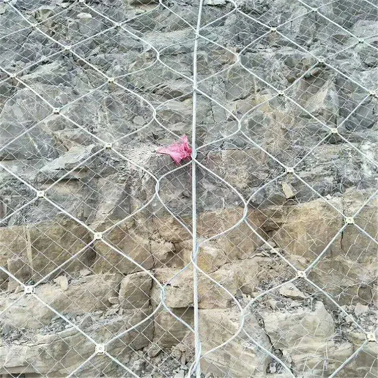 

[Slope Protect] Mountain Slope Wire Rope Net SNS Flexible bian po wang Mild Steel Wire Ring