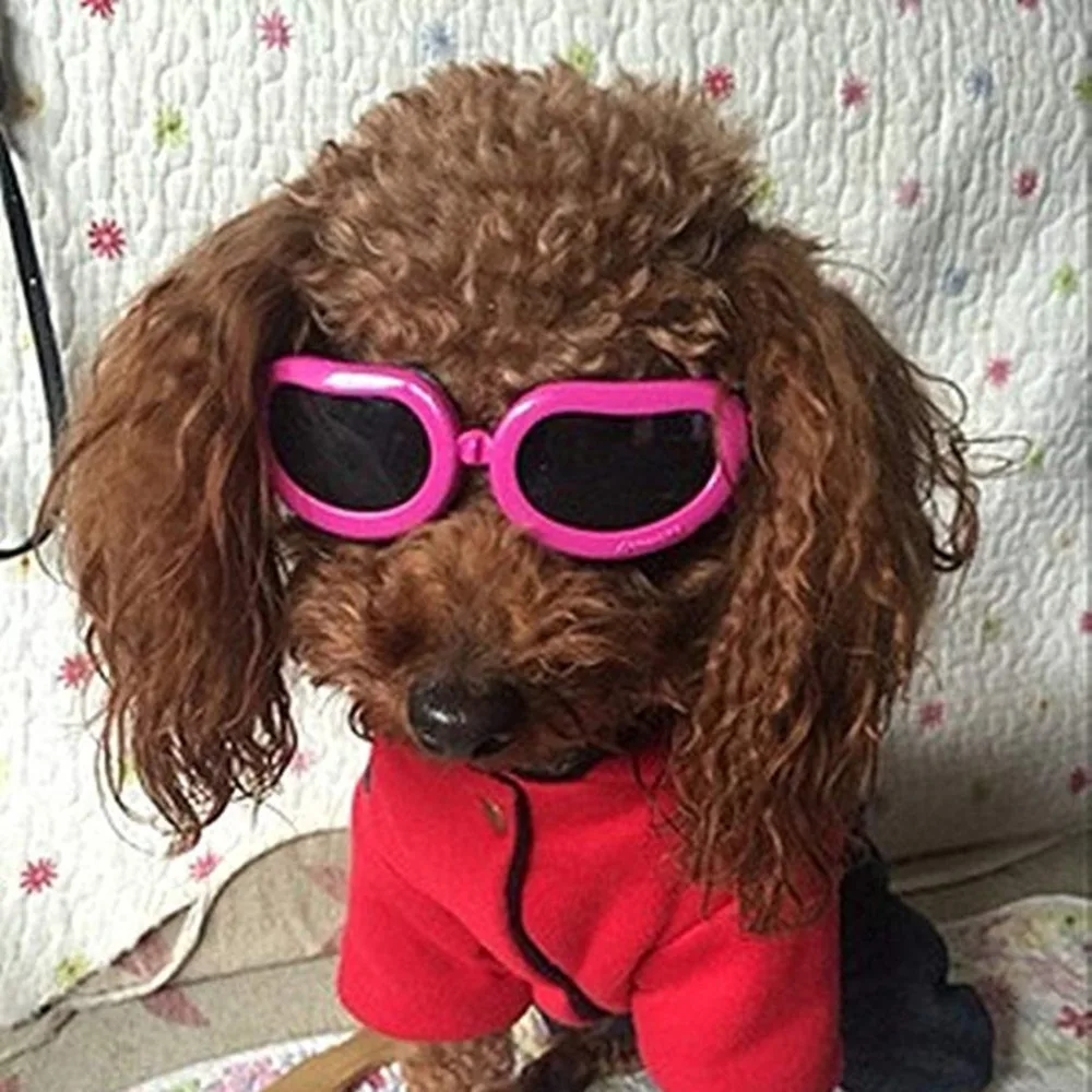 Pet очки ошейник для маленьких животных, специальные очки собака Кот солнцезащитные очки Cat профессиональные модные аксессуары для питомца