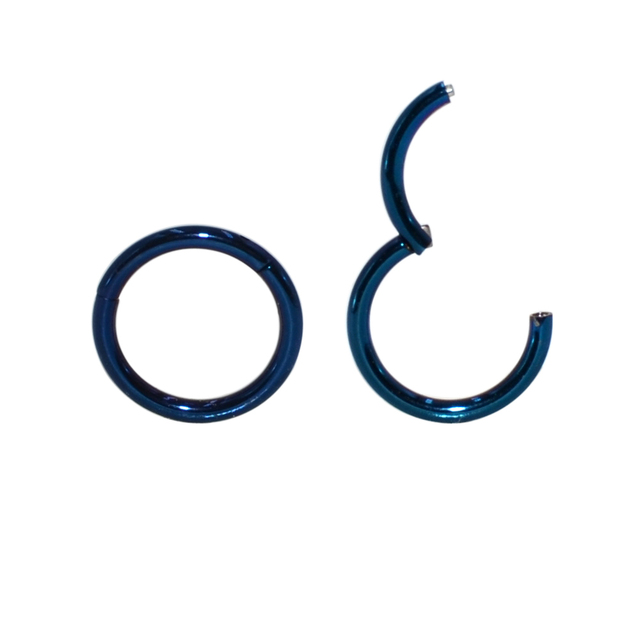 G23 Titanium Hinged Segment Nose Rings Ear Septum Helix Tragus Captive Piercing  Lip Eyebrow Nipple Clicker Body Jewelry