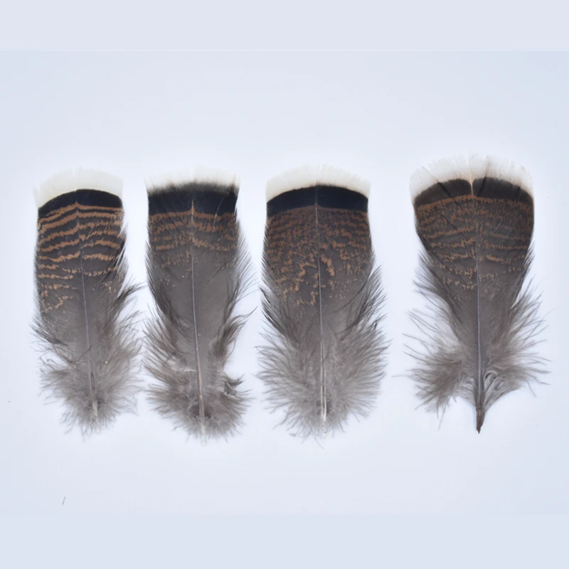 

50Pcs/Lot Pheasant Feathers Eagle Feathers 10-15cm/4-6inch Turkey Feathers for Crafts Feather Decor Decoration Plumas Carnaval