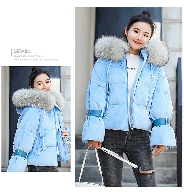 9184421717_1006637240