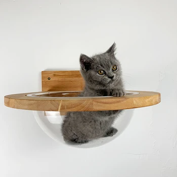 

Pet Furniture Cat Wall House Wall-mounted Transparent Space Capsule Cat Tree Wooden Cat Climbing Frame Kitten Bed Springboard
