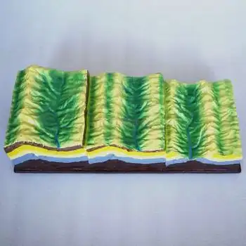 

Fold structure and its geomorphological evolution model