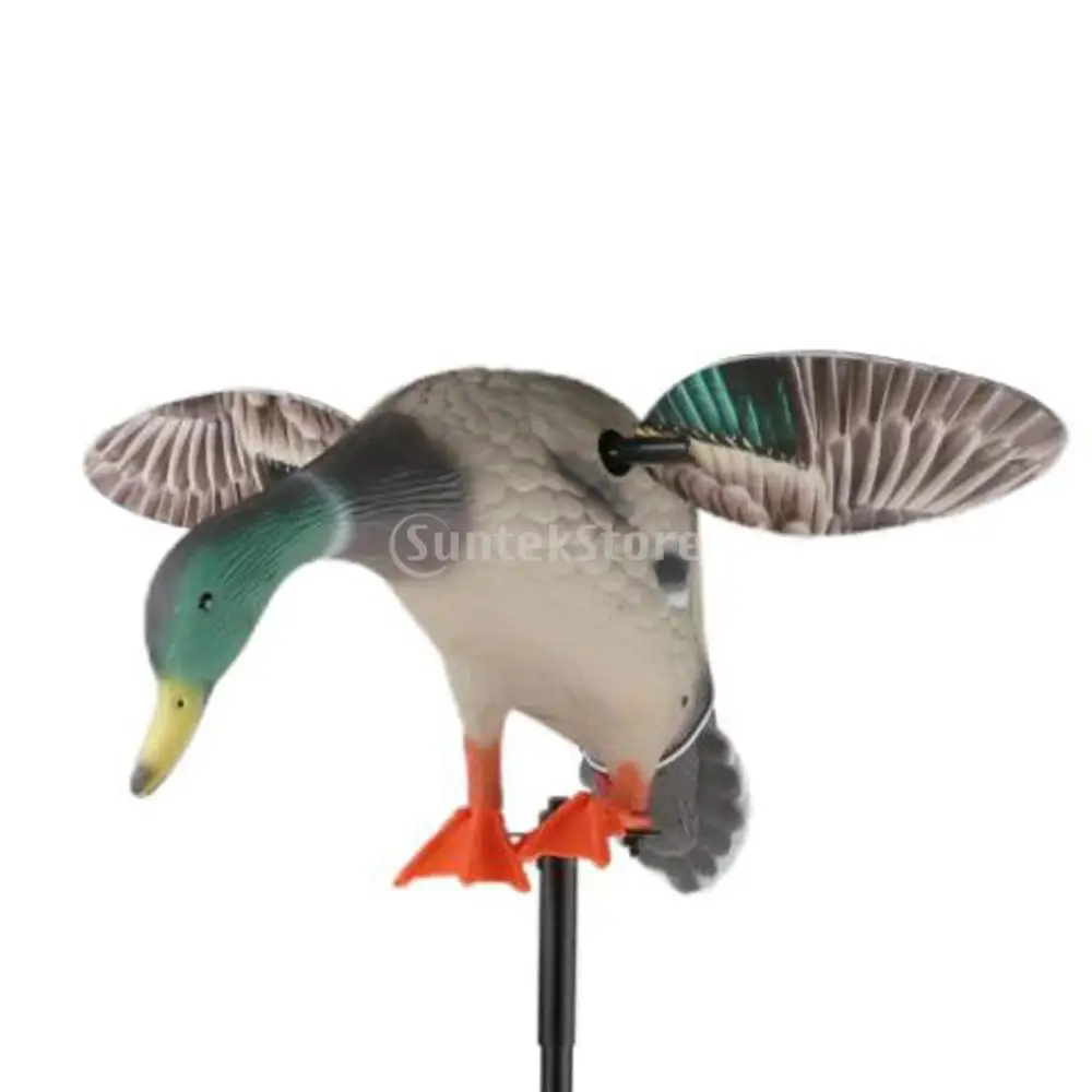 Electric Fly Duck Mallard Drake Decoy with Support Foot for Hunting Shooting, 