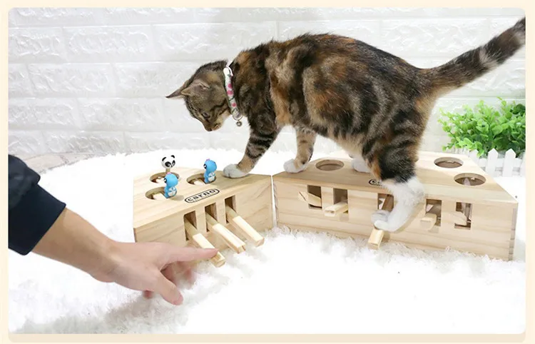 10611175716_1844951790