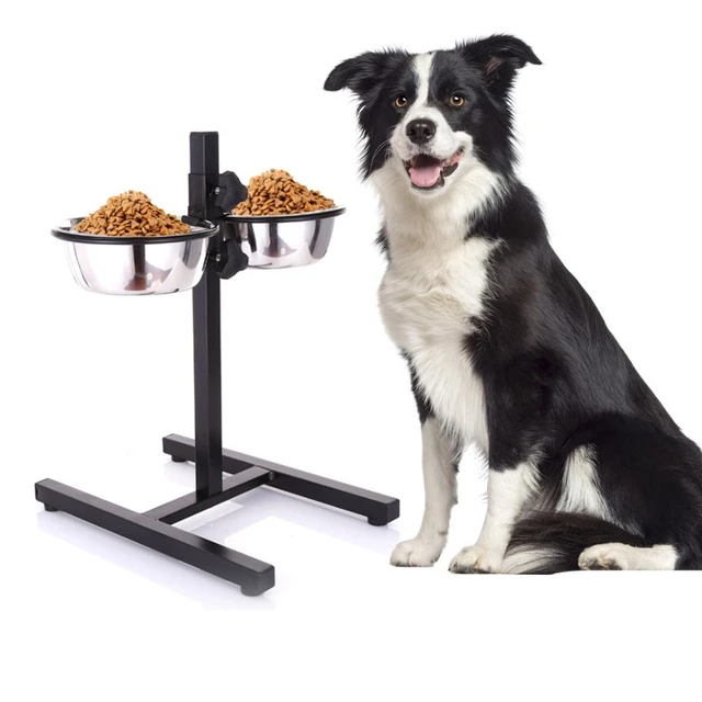 Height Dog Dog For Double Feeders Stainless Stand Elevated Food Bowl Water Big  Bowls Pets Dogs Bowls Pet Dish Adjustable Feeding - AliExpress