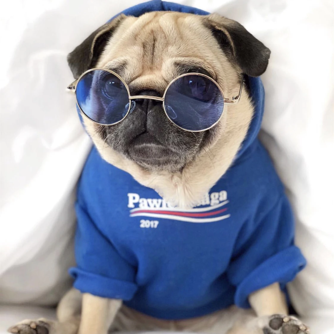 Французский одежда для бульдога толстовка с капюшоном собаки Adidog теплые