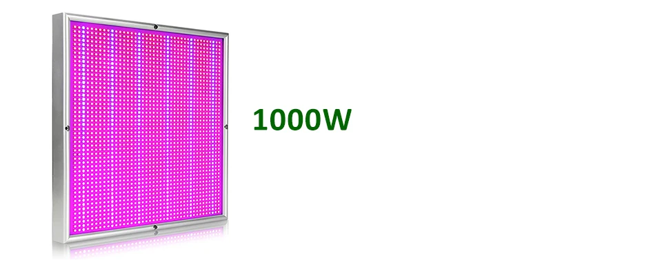 1000W