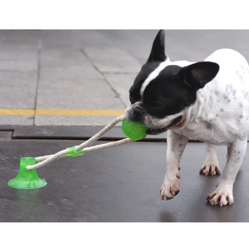 

Pet Dog Interactive Suction Cup Ball Toys Pet Tooth Cleaning Multifunction Ball Dog Cat Training Elastic Ropes Excise Playing