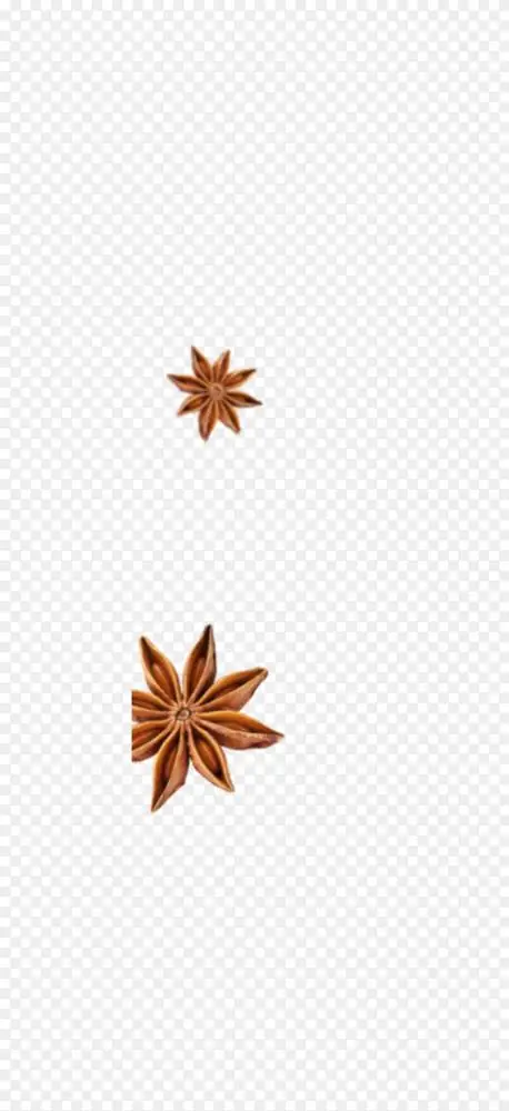 香料味法拉费尔印度料理肉桂八角png图片素材免费下载 图片编号 Png素材网