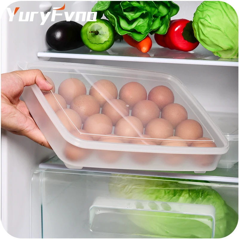 

YuryFvna Egg Storage Box 20-Grids Egg Case Organizer Holder Box Rack Container Hard Plastic Egg Dispenser Kitchen Egg Tools