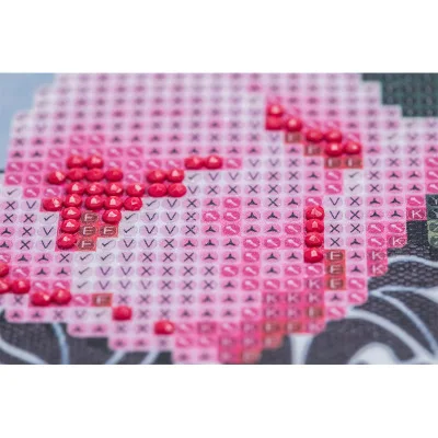 11365499917_1924820600.400x400