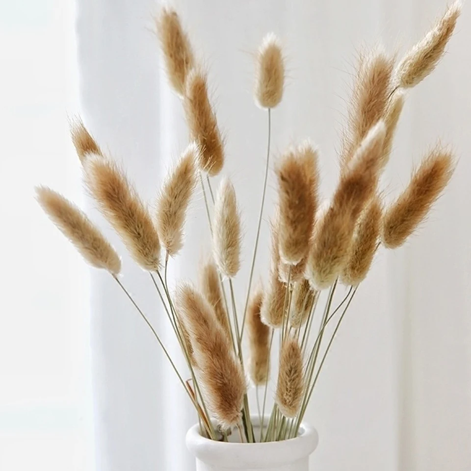 dried natural flower  (15)