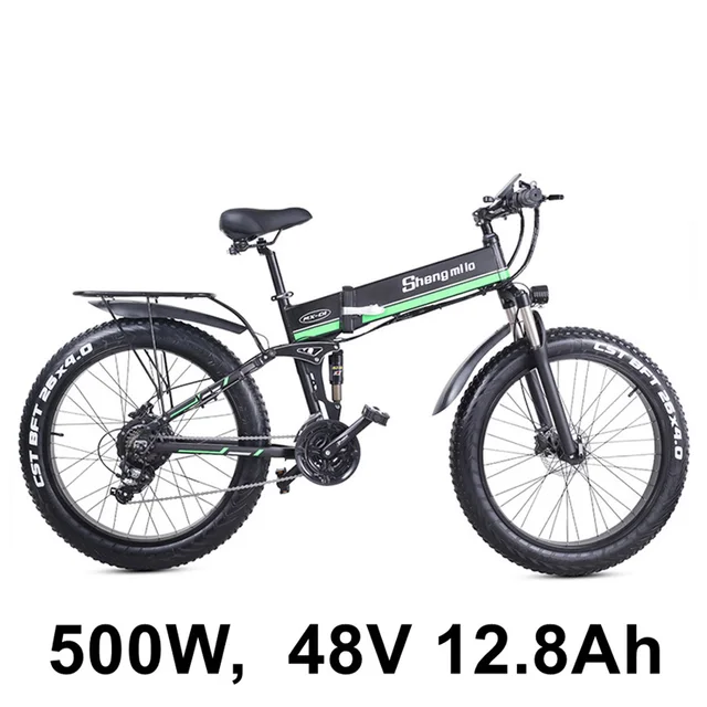 pedal assist fat bike