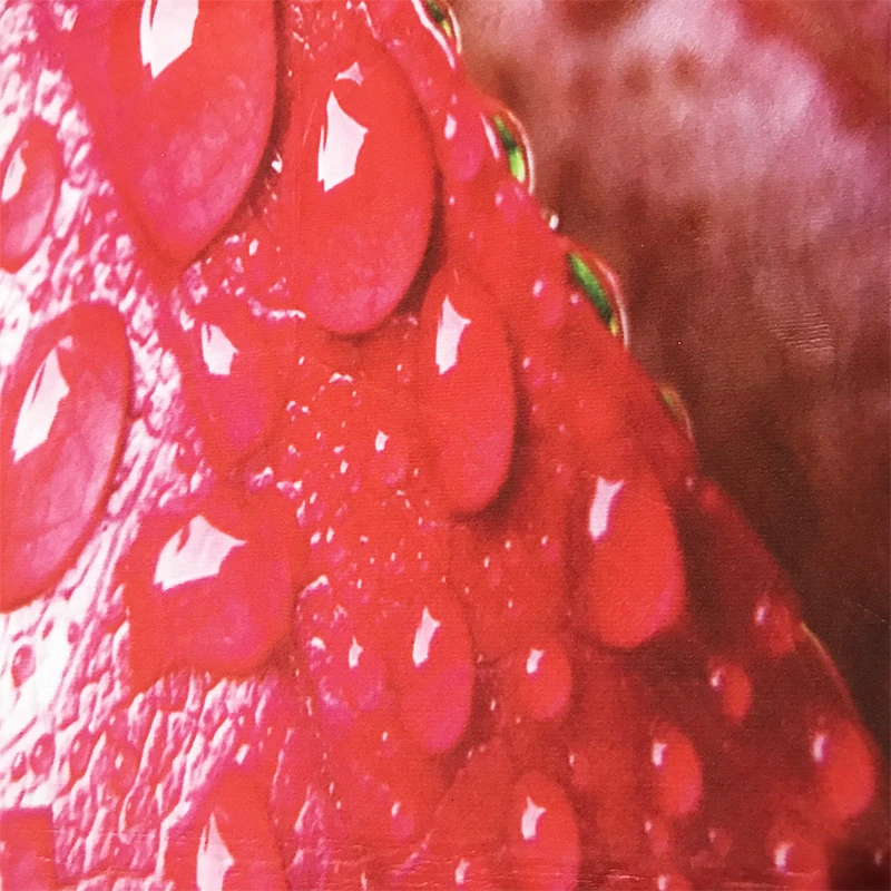 Кухонный коврик с 3D принтом RFWCAK нескользящий для прихожей современный гостиной