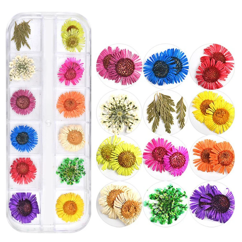 B 1box 3D Dried Flowers Nail Decoration Natural Floral Sticker Beauty Nail Art Decals Jewelry UV Gel Polish Manicure Art Tools - Цвет: B