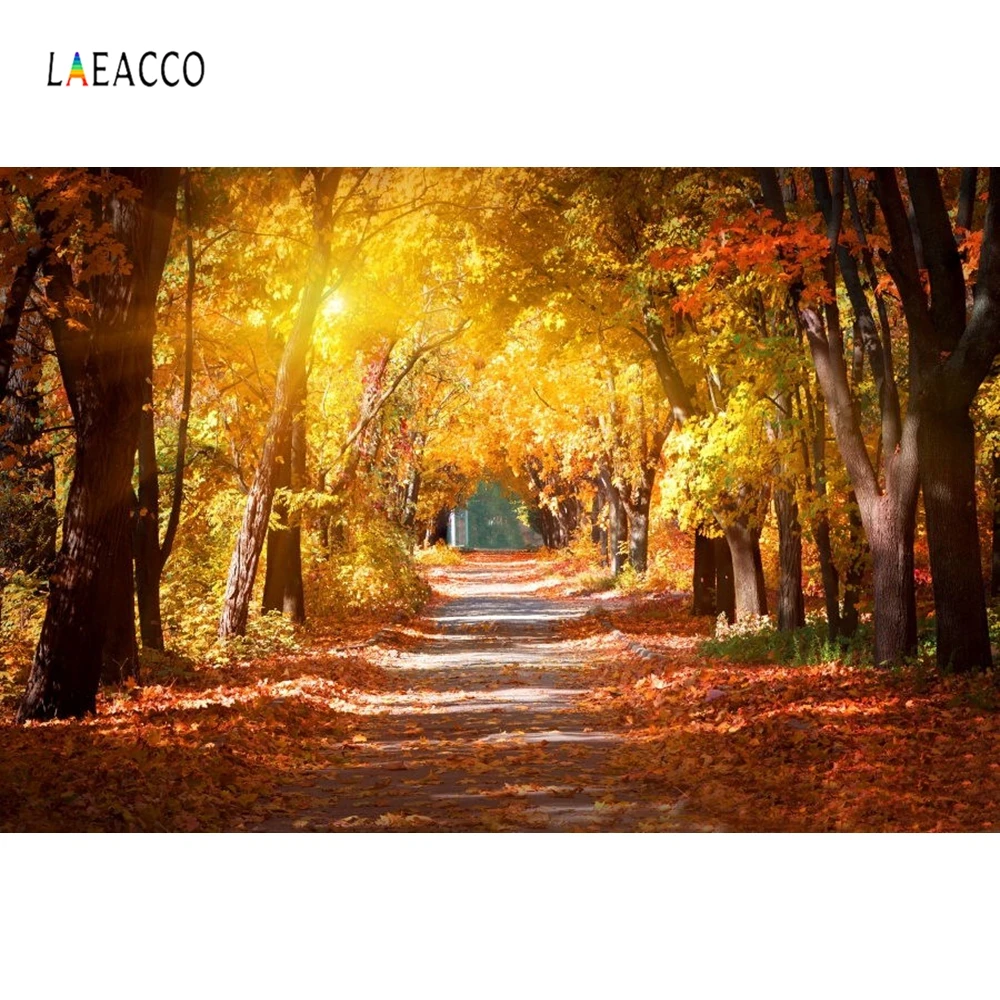 

Laeacco Autumn Fallen Leaves Trees Road Scenic Photography Backgrounds Customized Vinyl Photographic Backdrops For Photo Studio