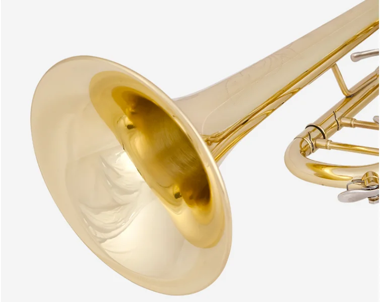 QQ图片20200306081507