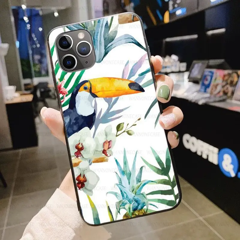 Tropical forest animals Toucan