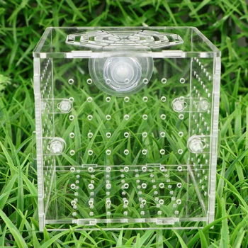 

1pc Fish Seedlings Case Aquarium Incubator Hatching Box for Home Garden Shop